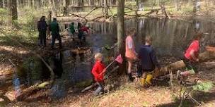 Vernal Pool Exploration