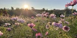 Yoga + Flowers at Antheia of Chelan