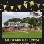 MUDLARK BALL 2024