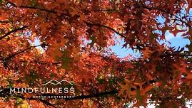 Autumn mini mindfulness retreat