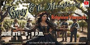 Gypsy & the Moonshiners LIVE at Ridgeview Vineyards