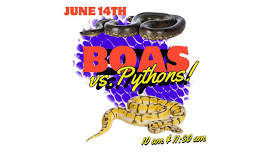 Wildlife on the Move Presents: Boas vs. Pythons