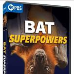 Mud Season Movies: Bat Superpowers