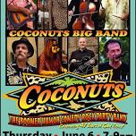 The Coconuts Big Band Opening Concert