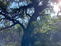 Canyon Creek Nature Trail: Hike & Mini Meditation