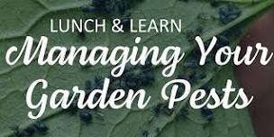 Lunch & Learn: Managing Your Garden Pests