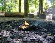 Campfire Fun at Fermyn Woods Country Park