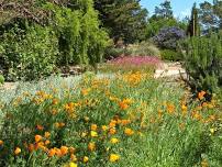 Nature Walk & Sound Bath at The Botanical Gardens