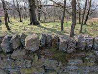 Dry Stone Walling for Beginners