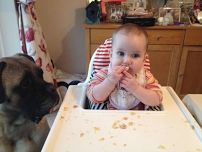    BABY WEANING WORKSHOP - FUNDED   