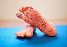 Introduction to Foot Reflexology in Invercargill