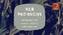 WILD Wednesdays