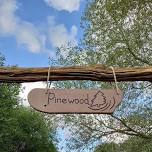 Pinewood Trust Activity Day for Children with SEND