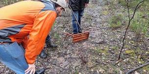 Reptile survey at Spring Plains NCR