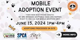 Mobile Adoption Event