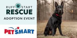 St. Louis Park PetSmart Adoption Day Event