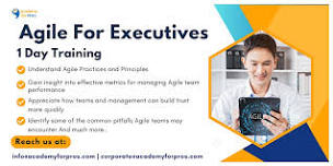 Agile For Executives 1 Day Training in League City, TX on Jun 21st, 2024