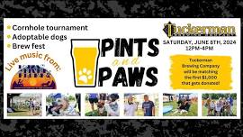 Pints & Paws Adoption Event and Cornhole Tournament