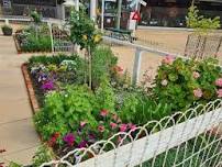 Loxton Historical Village Garden Day