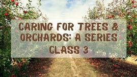 Caring For Trees & Orchards: A Series CLASS 3