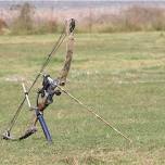 Archery in the Park - Family