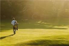 Dr. Roscoe C. Brown Golf Classic : Black Health Matters