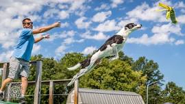 DockDogs® at Polk County Fair