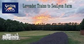 Lavender Pickin' Train to SeaLyon Farm