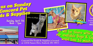 Adoption Event at Concord Pet Foods in Seaford