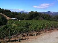 Benziger Biodynamic Tractor Tram Tour