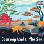 Journey Under The Sea