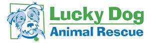 Lucky Dog Animal Rescue adoption event