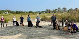 TAO DOG® Coastal Adventure Hike & Picnic: Rocky Neck State Park