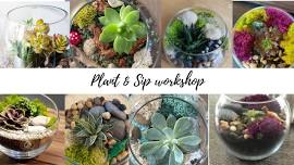 6/16 Plant & Sip Workshop Session 2: 2-3:30 pm