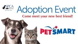 PetSmart Adoptions