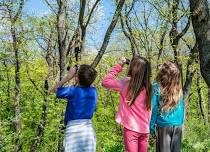 Toddler Trek: Bird Bonanza