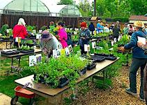 Horticultural Art Society Gigantic Plant Sale