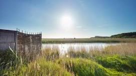 Cley for waders and autumn migrants