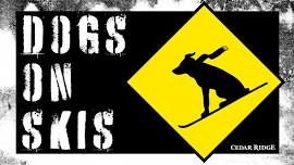 Friday Night Music – Dogs on Skis