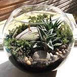 School Holiday Activity - Make a Terrariums