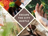 Escape the City Hustle: Reconnect with Nature and Your Inner Artist! 