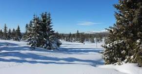 Skåbu Fjellmaraton