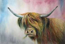 Watercolour Highland Cow Art Class