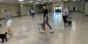 Eagle Valley Humane Society Adopted Dog Training and Behavior Class