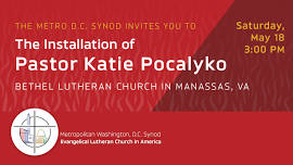 Installation of Katie Pocalyko