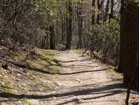 Valley Forge Fast-Paced Workout Hike