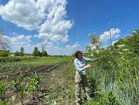 June Farm Volunteer Day — Sharing Our Roots