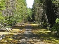 Old Mt. Hood Highway 26 & Laurel Hill Chute Trail History Hike