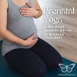 Pre Natal Yoga Series July 14- August 18 with Ashley Benson