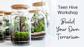 HIVE: Build Your Own Terrarium